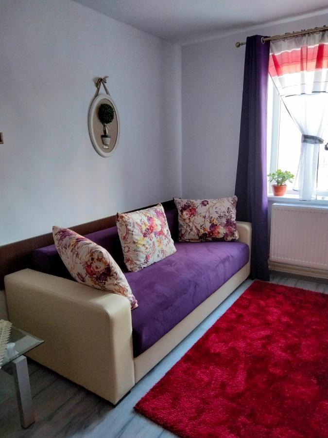 Apartament Geo Nehoiu Exteriör bild